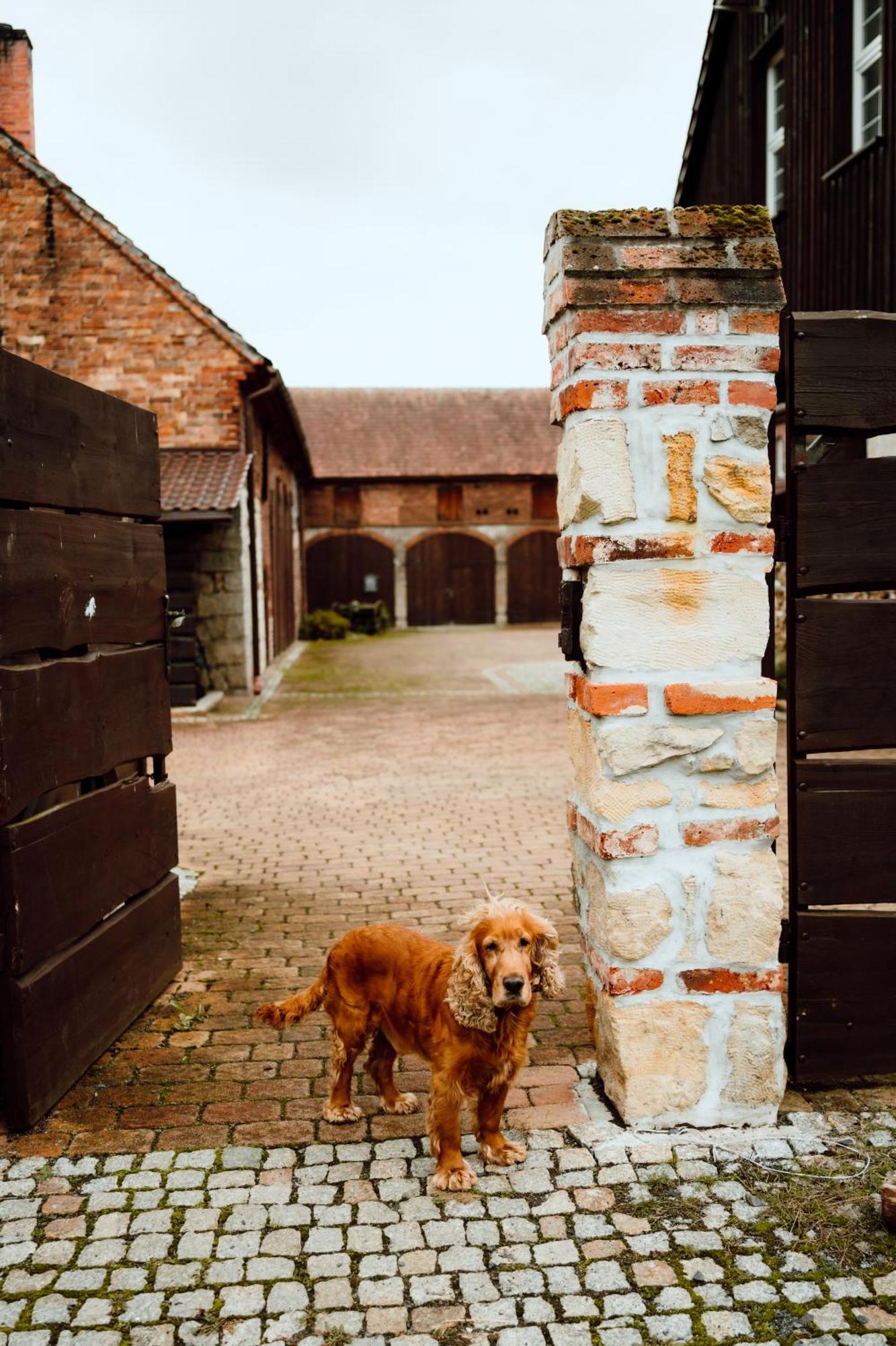 Na Uboczu Villa Gryfów Śląski Exterior foto