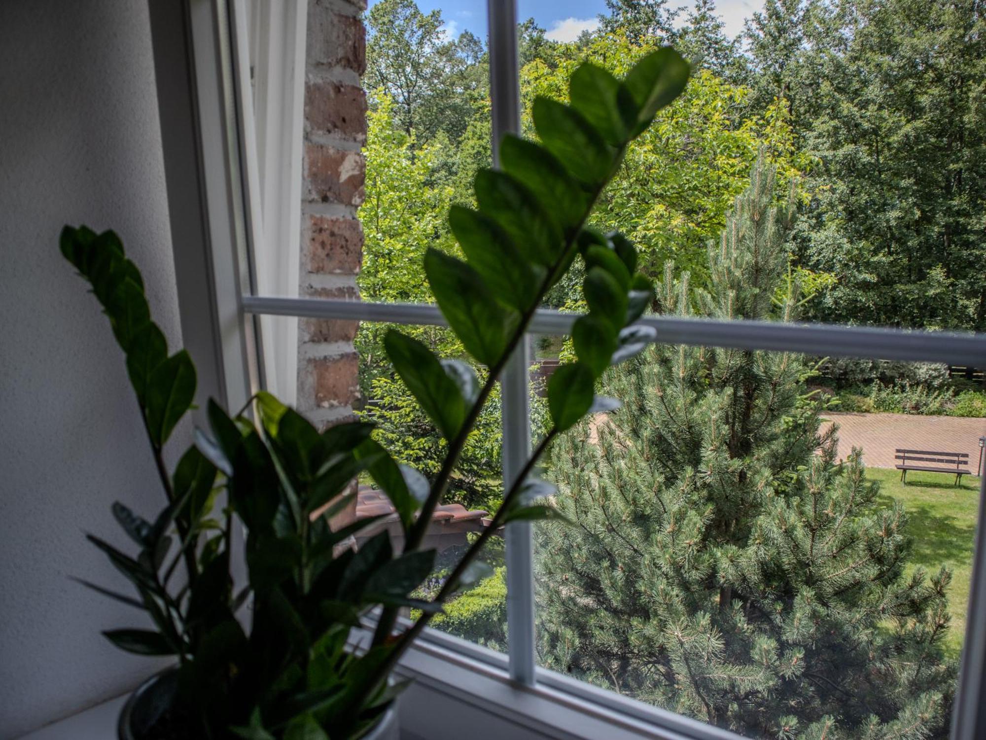 Na Uboczu Villa Gryfów Śląski Cameră foto